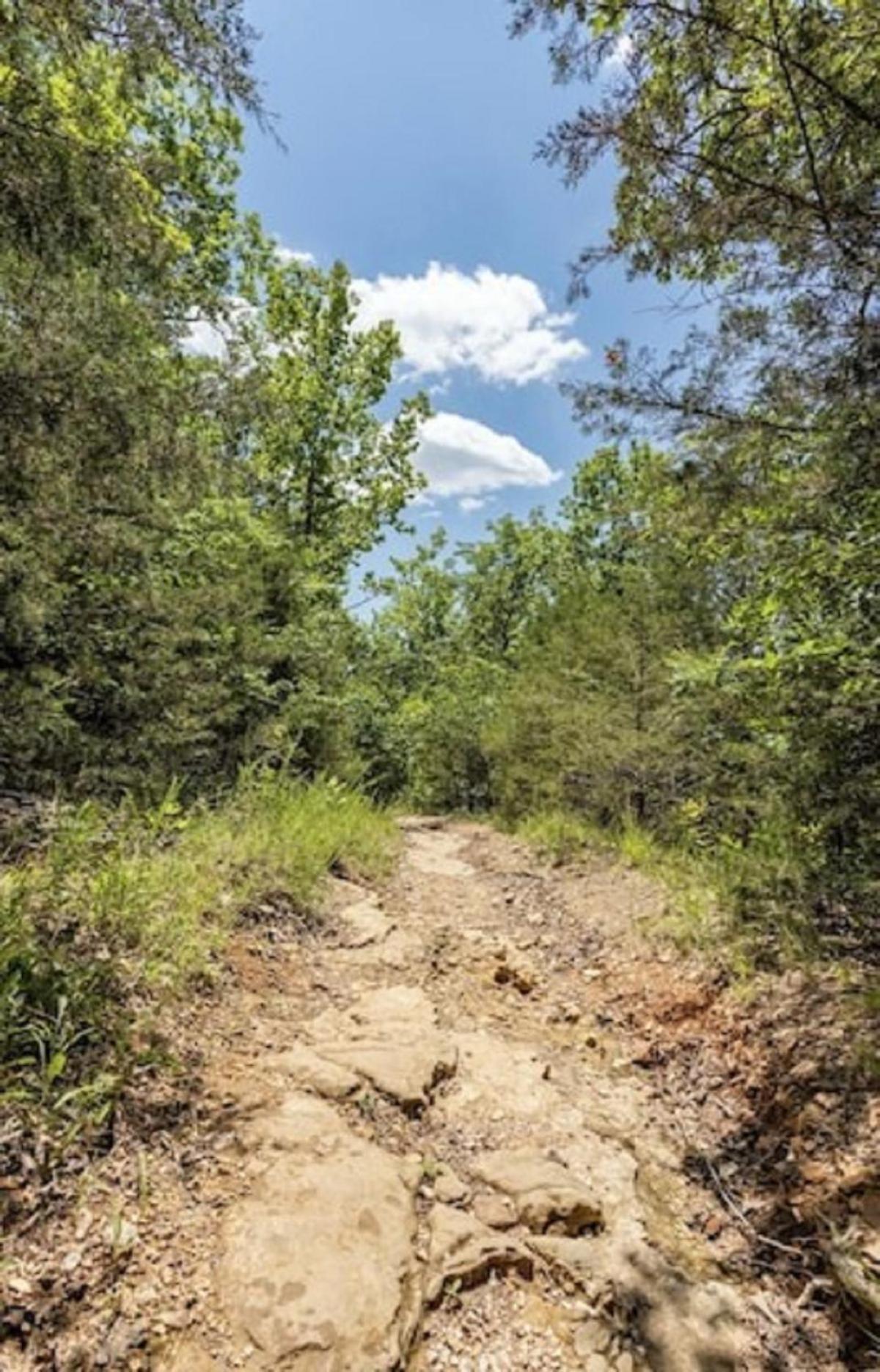 Beautiful Branson Getaway-Next To Silver Dollar City &Tablerock-Family Amenities Exteriör bild